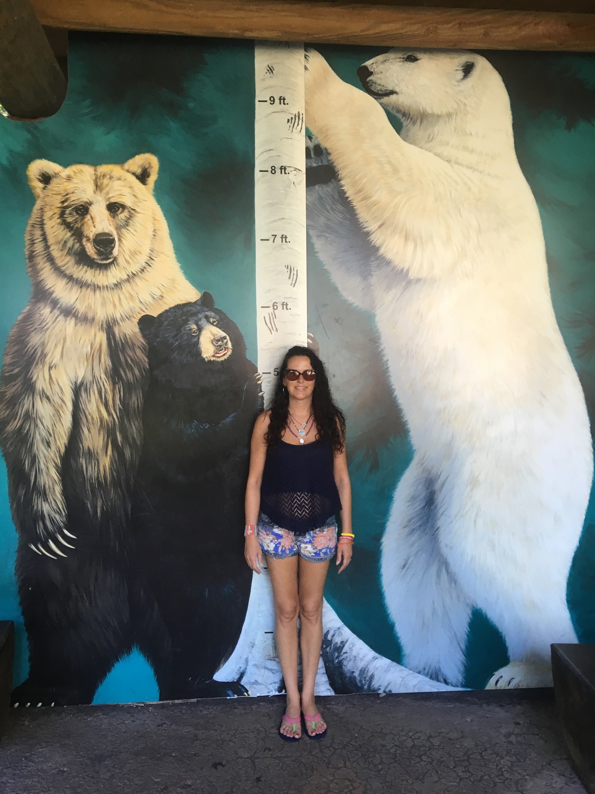 How Tall is a Polar Bear - Polar Bear Height
