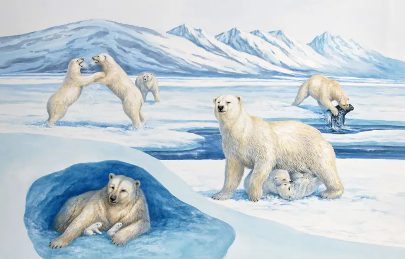 Polar bear life cycle
