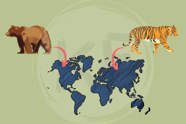 Tiger and Grizzly Bear on map