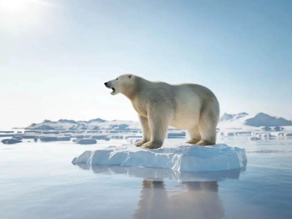 Why Are Polar Bears Endangered