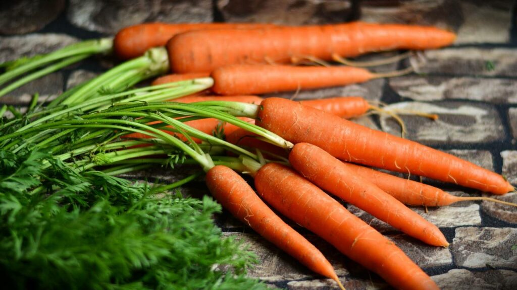 Nutritional Content of Carrots