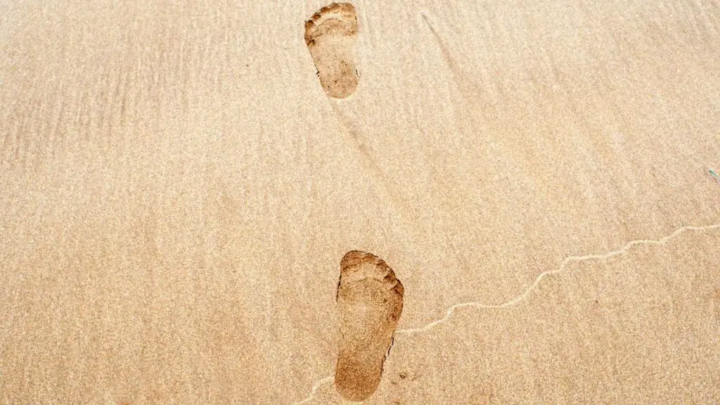 Human Footprint