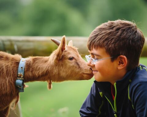 Teaching Animal Compassion to kids